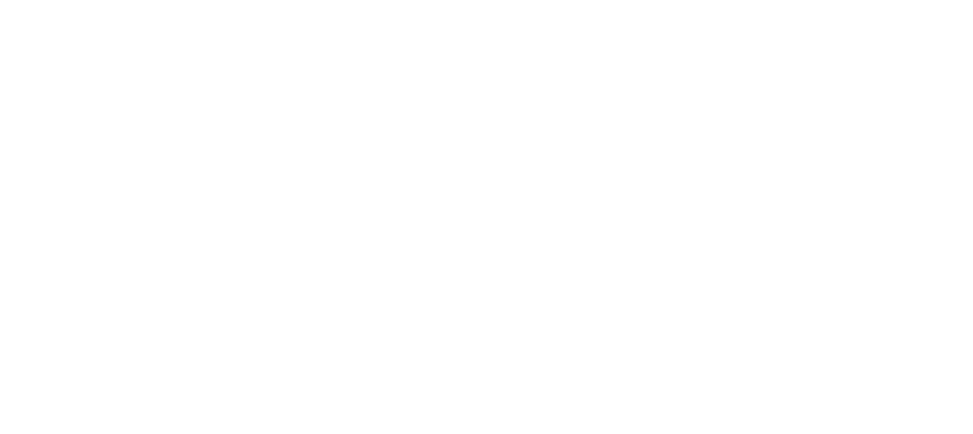N8 | Raum – Logo